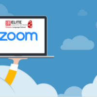 Online Lesson via ZOOM