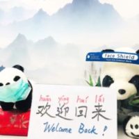 Chinese Class Porcelain Room