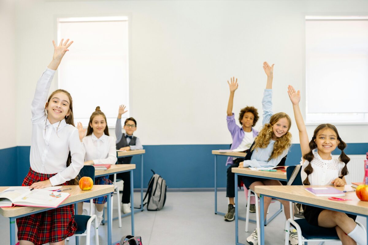 The IB Chinese Curriculum Explained: Which One Should You Choose?