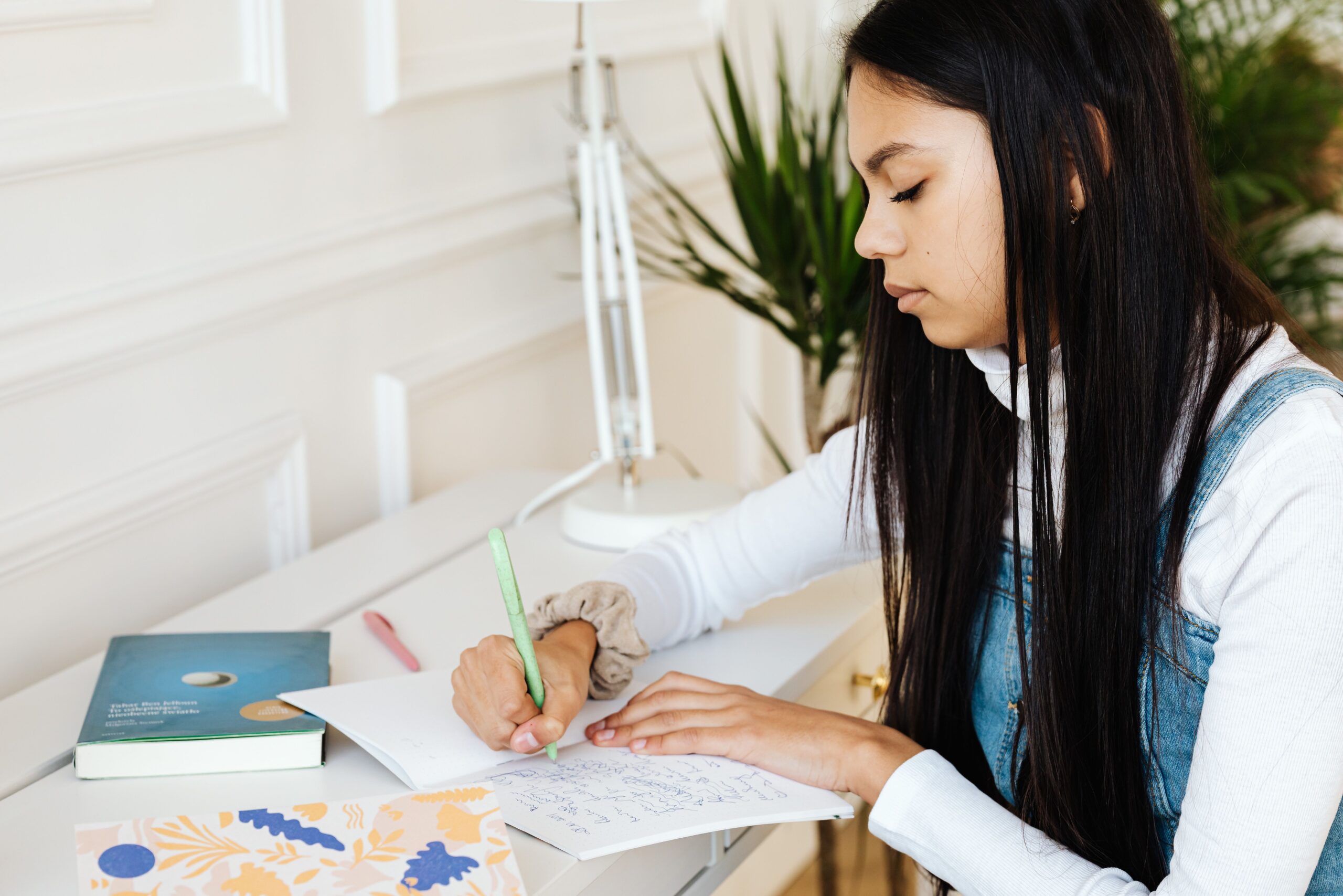 Exam preparation for IB Chinese ab initio