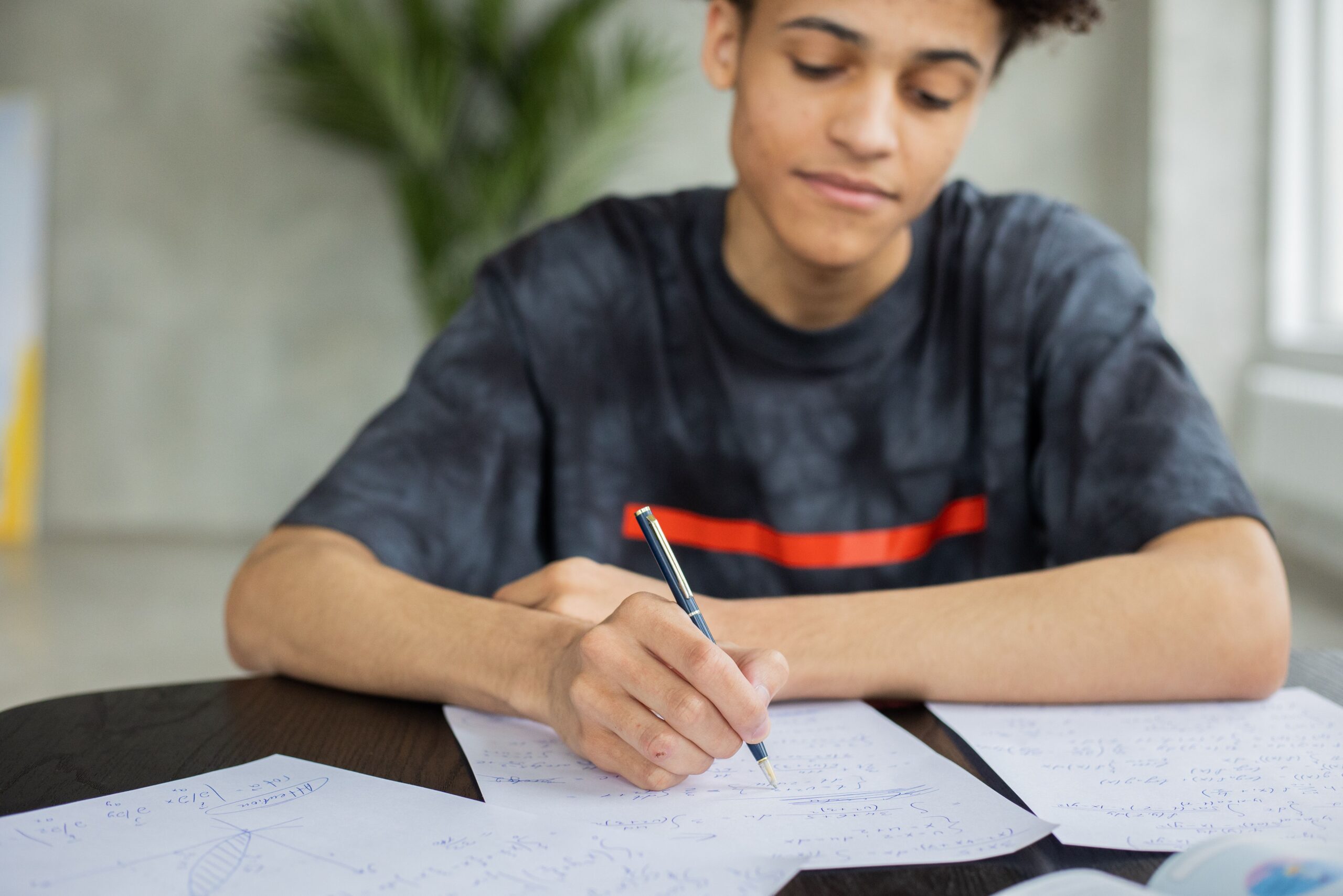 Understanding IB Chinese ab initio exam structure